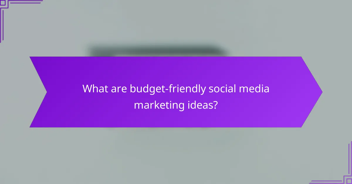 What are budget-friendly social media marketing ideas?