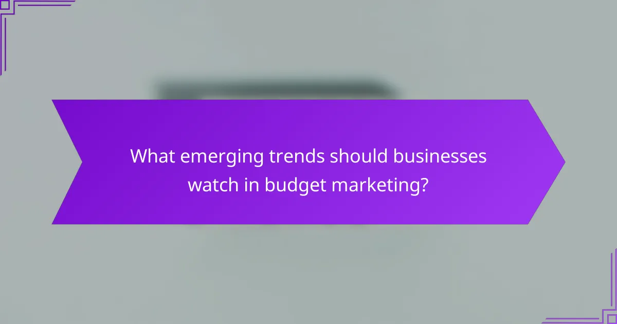 What emerging trends should businesses watch in budget marketing?